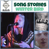 Song story - Winter Bird